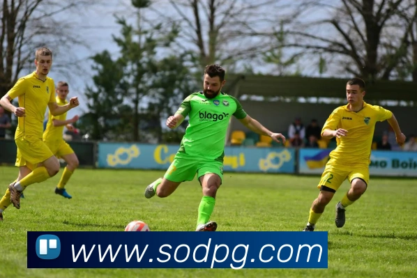 pg电子平台生态图